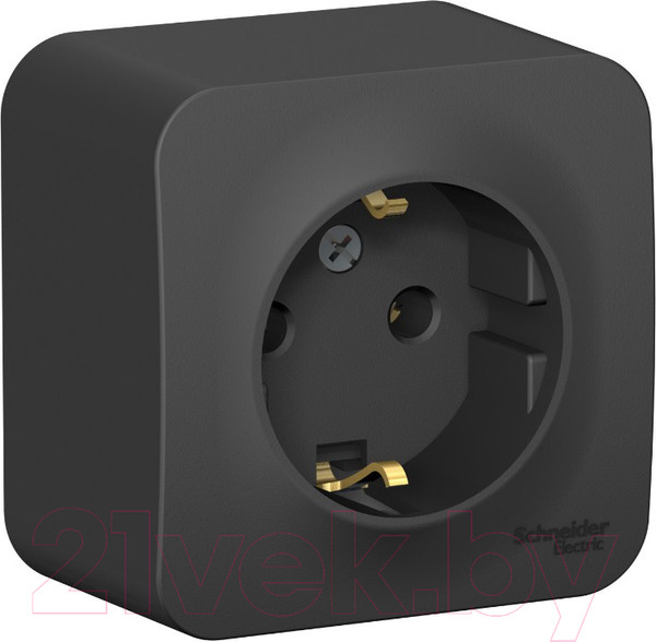 Изображение товара Розетка Systeme (Schneider) Electric Blanca BLNRA010116