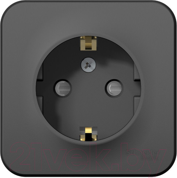 Изображение товара Розетка Systeme (Schneider) Electric Blanca BLNRA011116