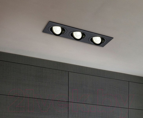 Изображение товара Точечный светильник Maytoni Atom DL024-2-03B