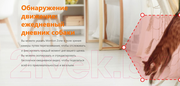 Изображение товара Кормушка автоматическая для животных Petoneer NutriVue Feeder / PF008