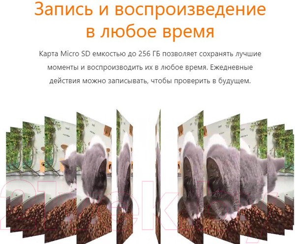 Изображение товара Кормушка автоматическая для животных Petoneer NutriVue Feeder / PF008