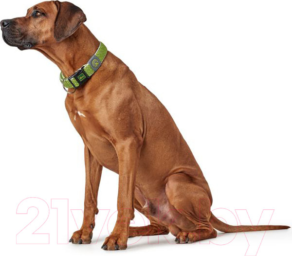 Изображение товара Ошейник HUNTER Collar Hilo VP Mesh Limette / 66611 (45-70/XL, лайм)