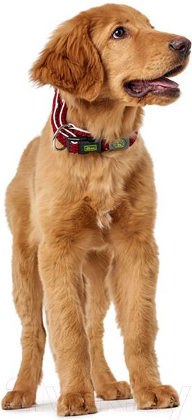 Изображение товара Ошейник HUNTER Collar Hilo VP / 66590 (40-60/L-XL, красный)