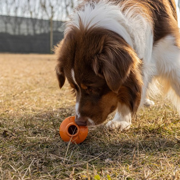 Изображение товара Игрушка для собак Ferplast Crazy Bell / 86617499