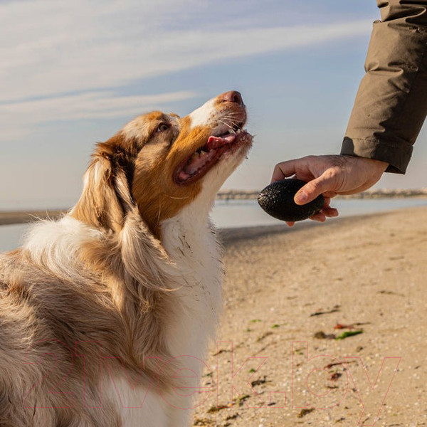 Изображение товара Игрушка для кошек Ferplast Chewa Boing / 86626717