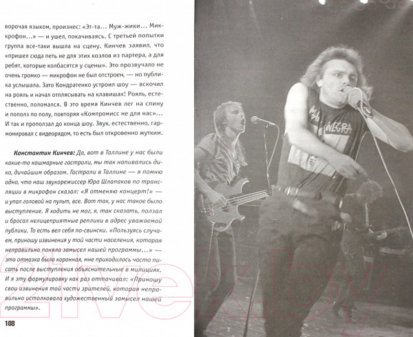 Изображение товара Книга АМФОРА Другая история / 9785367003925 (Чернин А.)