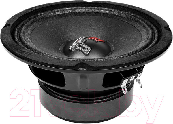 Изображение товара Среднечастотная АС Урал ТТ 165.2