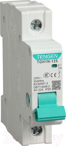 Изображение товара Выключатель нагрузки Tengen TGH1N-125 1P 63A 1M / TEN340006