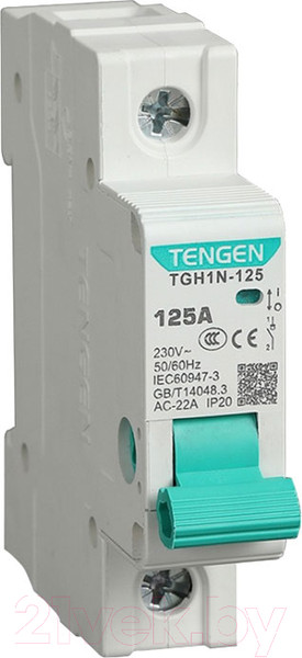 Изображение товара Выключатель нагрузки Tengen TGH1N-125 1P 125A 1M / TEN340009