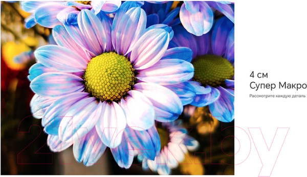 Изображение товара Смартфон Honor X9b 5G 8GB/256GB / ALI-NX1 (оранжевый)