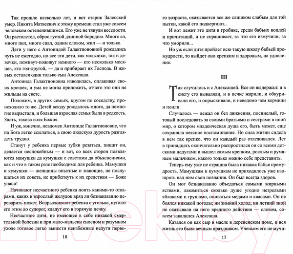 Художественная книга Вече Царское посольство / 9785448439438 (Соловьев В.) — фото 6