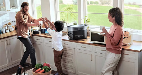 Изображение товара Портативная зарядная станция EcoFlow Delta 2 Max