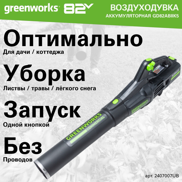 Изображение товара Воздуходувка аккумуляторная Greenworks GD82ABIIK5 / 2407007UB