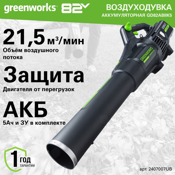 Изображение товара Воздуходувка аккумуляторная Greenworks GD82ABIIK5 / 2407007UB