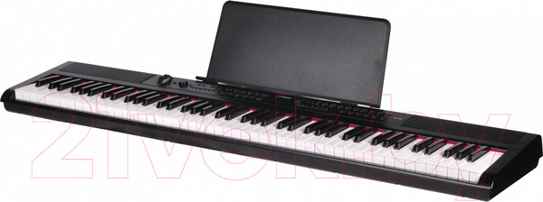 Изображение товара Цифровое фортепиано Artesia PE-88 (Black)