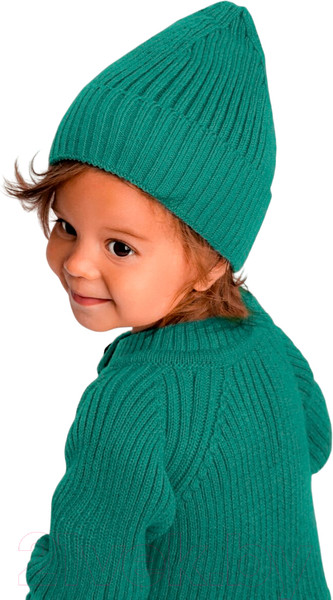 Изображение товара Шапка детская Amarobaby Pure Love Tot / AB-OD22-PLT16/13-40 (зеленый, р. 40-42)