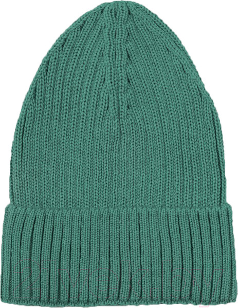 Изображение товара Шапка детская Amarobaby Pure Love Tot / AB-OD22-PLT16/13-44 (зеленый, р. 44-46)