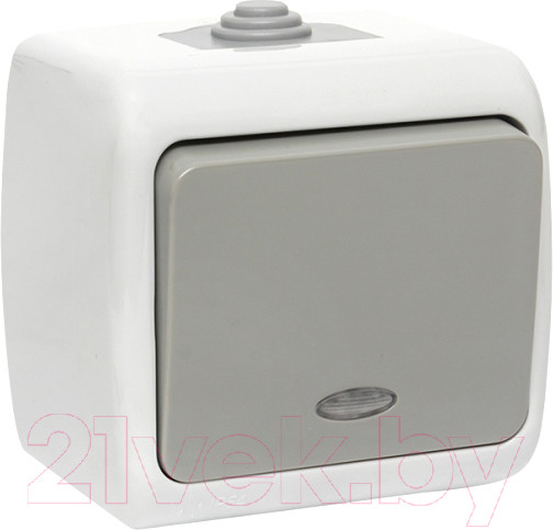 Изображение товара Выключатель EKF Мурманск 1кл 10А IP54 / EFV10-121-30-54 (серый)