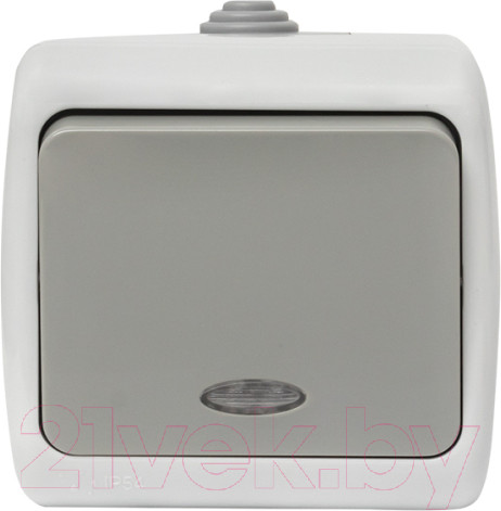 Изображение товара Выключатель EKF Мурманск 1кл 10А IP54 / EFV10-121-30-54 (серый)