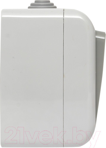 Изображение товара Выключатель EKF Мурманск 1кл 10А IP54 / EFV10-121-30-54 (серый)