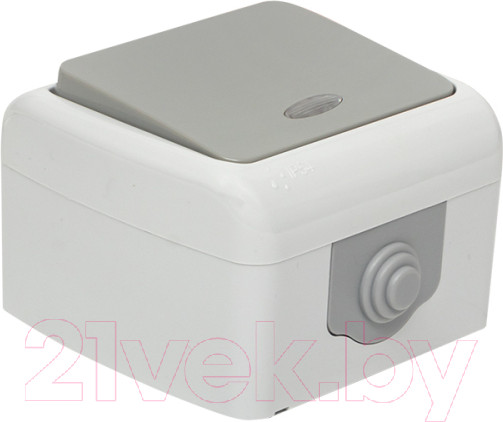 Изображение товара Выключатель EKF Мурманск 1кл 10А IP54 / EFV10-121-30-54 (серый)