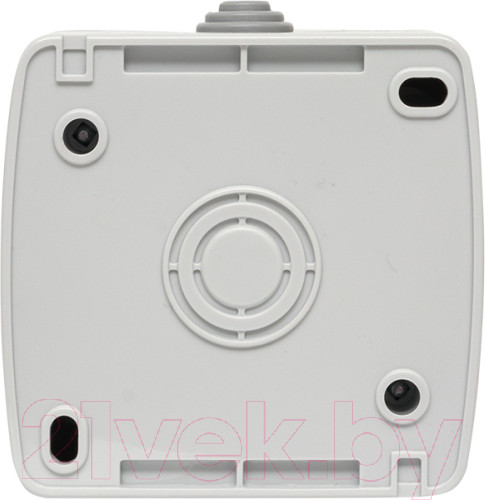 Изображение товара Выключатель EKF Мурманск 1кл 10А IP54 / EFV10-121-30-54 (серый)