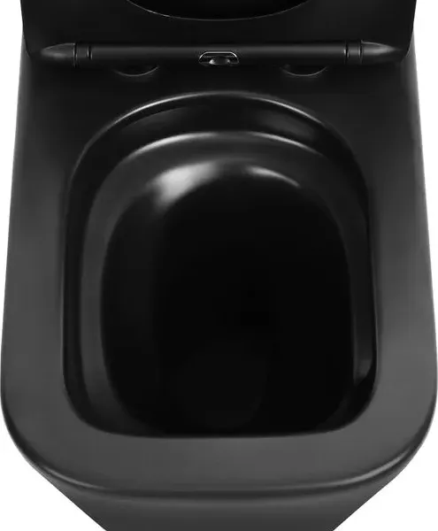 Изображение товара Унитаз напольный Abber Rechteck AC1210TMB (черный матовый)