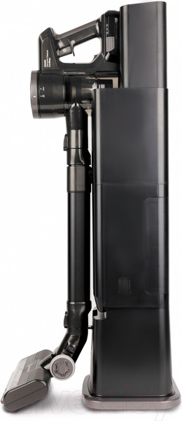 Изображение товара Вертикальный пылесос Evolution Smart DS2511 (с базой самоочистки)