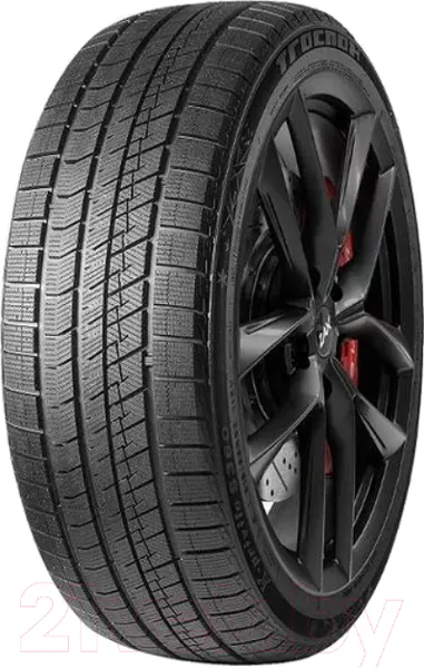 Изображение товара Зимняя шина Tracmax X-Privilo S360 255/45R19 104T