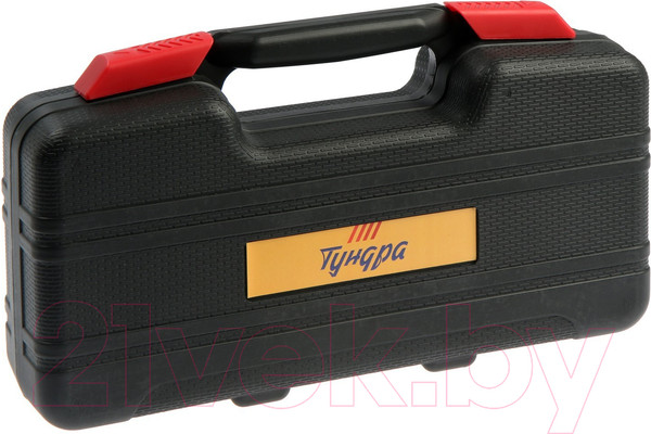 Изображение товара Универсальный набор инструментов Tundra 23 февраля / 9305226 (39 предметов)