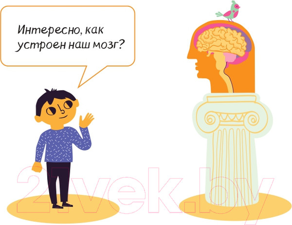 Изображение товара Энциклопедия Эксмо Приключения Тима в стране Мозг / 9785041849863 (Косовская М. и др.)
