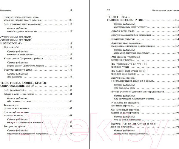 Изображение товара Книга Бомбора Гнездо, которое дарит крылья / 9785041219888 (Шталь С.)