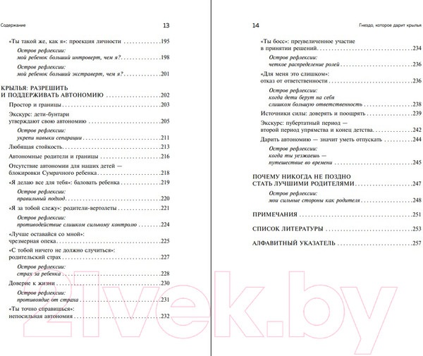 Изображение товара Книга Бомбора Гнездо, которое дарит крылья / 9785041219888 (Шталь С.)