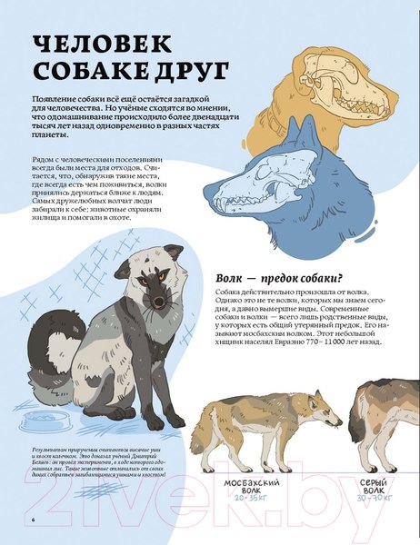 Изображение товара Книга Альпина Секреты собак. Как понять собаку и стать ей другом (Рауш А.)