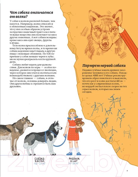 Изображение товара Книга Альпина Секреты собак. Как понять собаку и стать ей другом (Рауш А.)