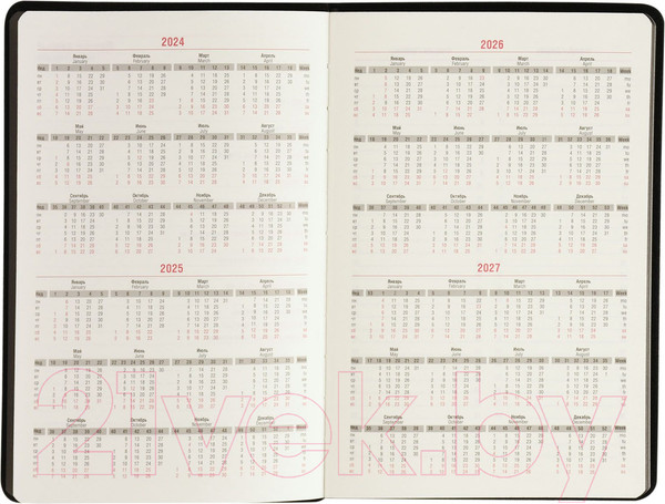 Изображение товара Ежедневник Lorex Classy / LXDRA5-CS (96л, черный)