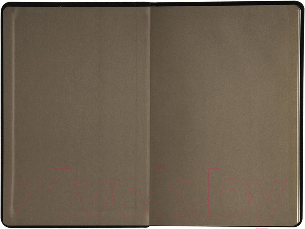 Изображение товара Ежедневник Lorex Classy / LXDRA5-CS (96л, черный)