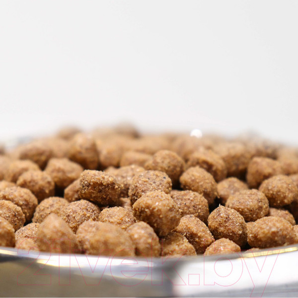 Изображение товара Сухой корм для собак Necon Для взрослых собак всех пород с индейкой и рисом / NECN11 (12кг)