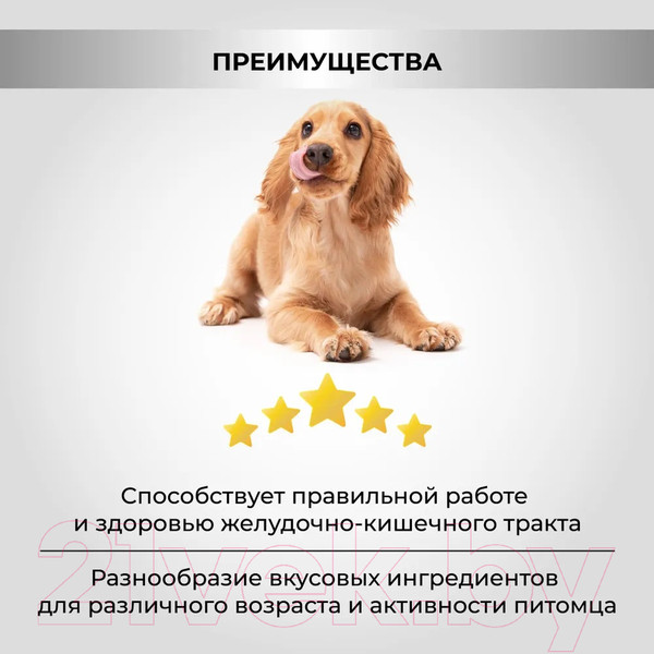 Изображение товара Сухой корм для собак Necon Для взрослых собак всех пород с олениной и картофелем / NECN08 (3кг)