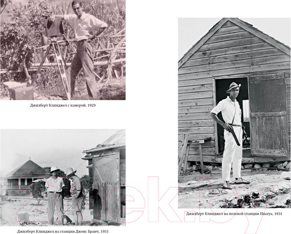 Изображение товара Книга КоЛибри Остров тысячи тайн / 9785389238831 (Клинджел Д.)