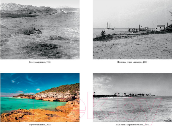 Изображение товара Книга КоЛибри Остров тысячи тайн / 9785389238831 (Клинджел Д.)