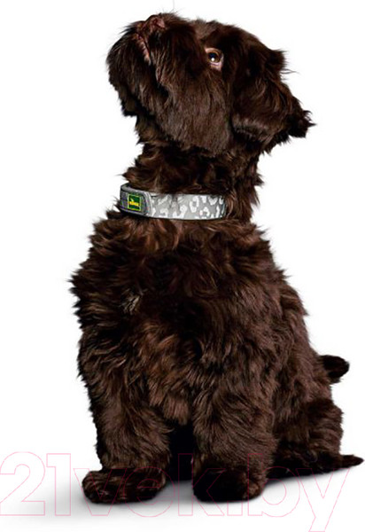 Изображение товара Ошейник HUNTER Collar Convenience Refl Glow / 69160 (40/S, леопард)