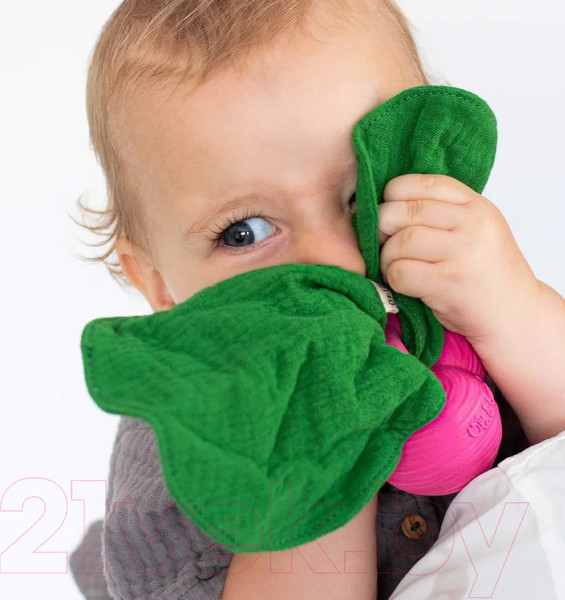 Изображение товара Прорезыватель для зубов Oli & Carol Mindou (Radish)