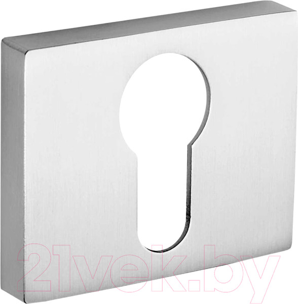 Изображение товара Накладка на цилиндр Ренц INET 01 MSN (никель супер матовый)