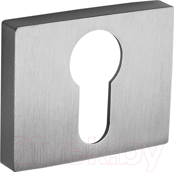 Изображение товара Накладка на цилиндр Ренц INET 01 SSC (супер сатин хром)