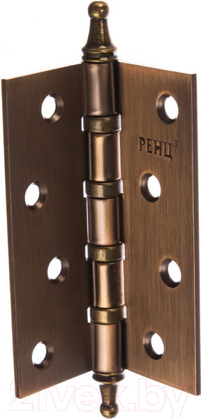 Изображение товара Комплект петель дверных Ренц IN100-4BB CH CF (2шт, кофе)