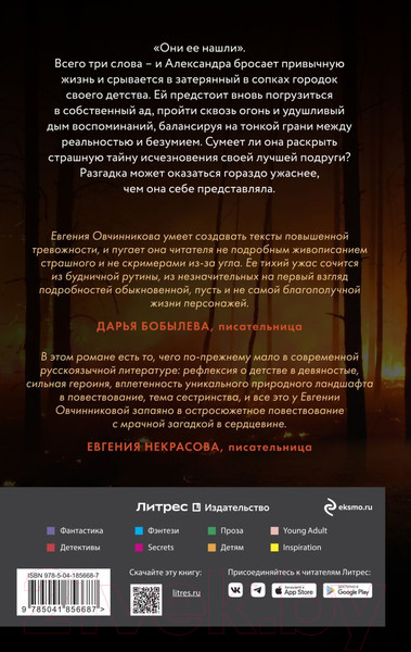 Изображение товара Книга Эксмо Сквозь огонь / 9785041856687 (Овчинникова Е.С.)