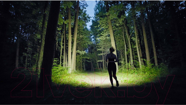 Изображение товара Фонарь Armytek Wizard C2 Pro Max LR Warm / F06702W