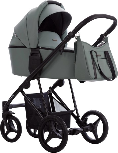 Изображение товара Детская универсальная коляска Bebetto Flavio Pro 2 в 1 (09/черная рама)
