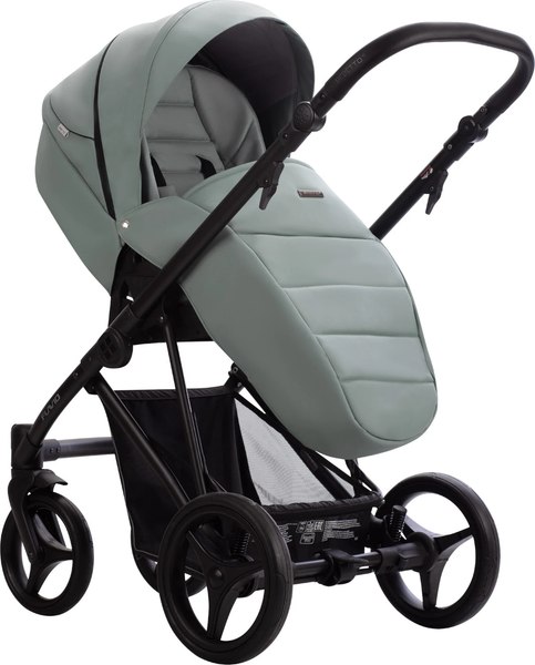 Изображение товара Детская универсальная коляска Bebetto Flavio Pro 2 в 1 (09/черная рама)